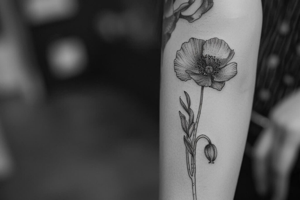 Tatouage Coquelicot Noir