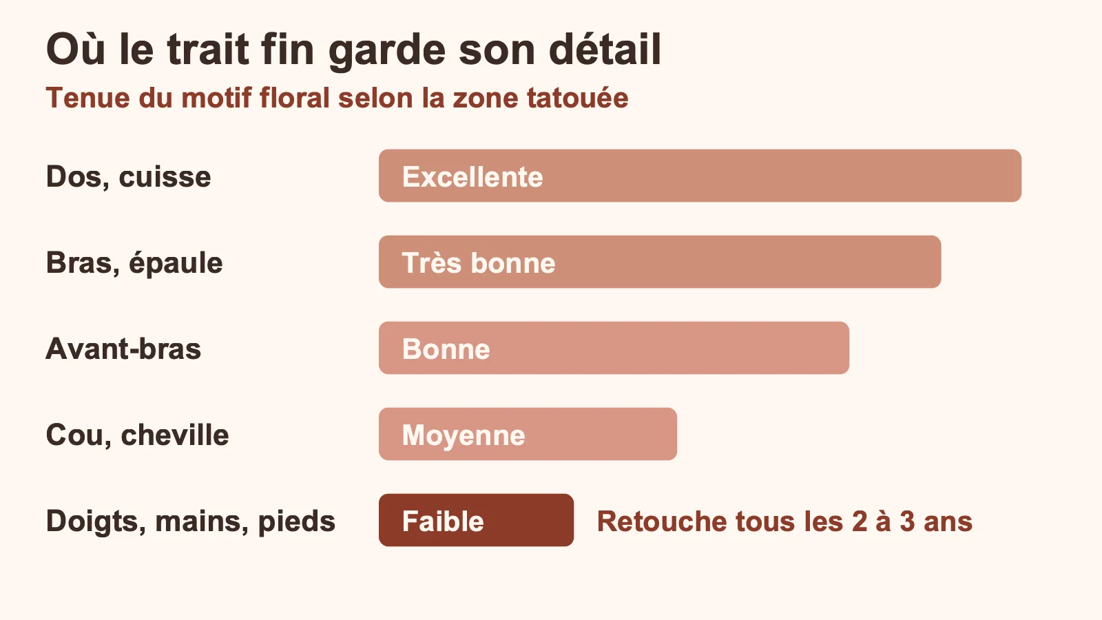 Graphique de la tenue d'un tatouage floral en trait fin selon la zone du corps