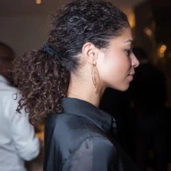 queue de cheval basse lichée